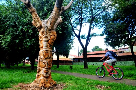nossa-braslia-escultura-em-rvore 24475518194 o