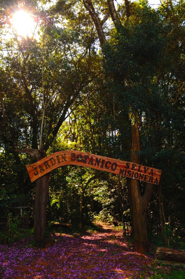 Portal botanico
