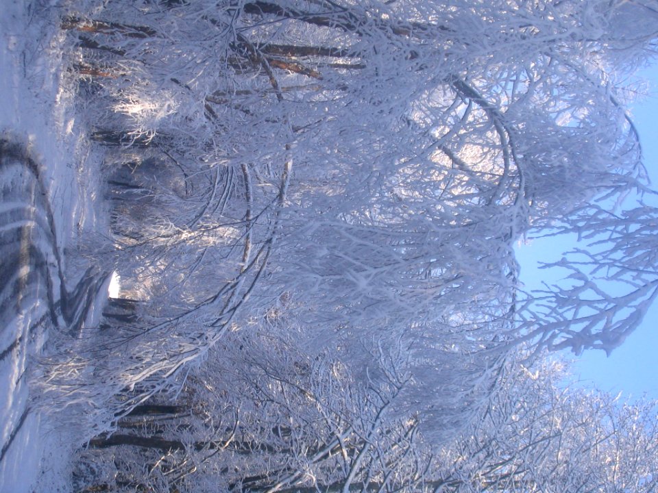 Photo of the Week - Winter at Rappahannock River Valley National Wildlife Refuge