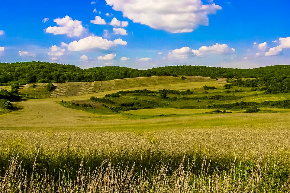 Country slovakia fields photo