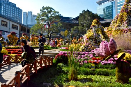 Seoul, Korea