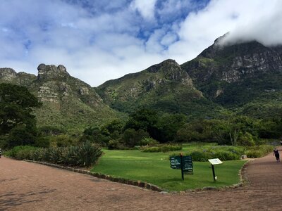 Cape town nature bloom
