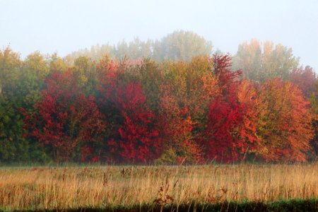 Missisquoi National Wildlife Refuge fall foliage photo