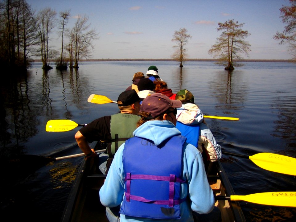 Paddling the refuge
