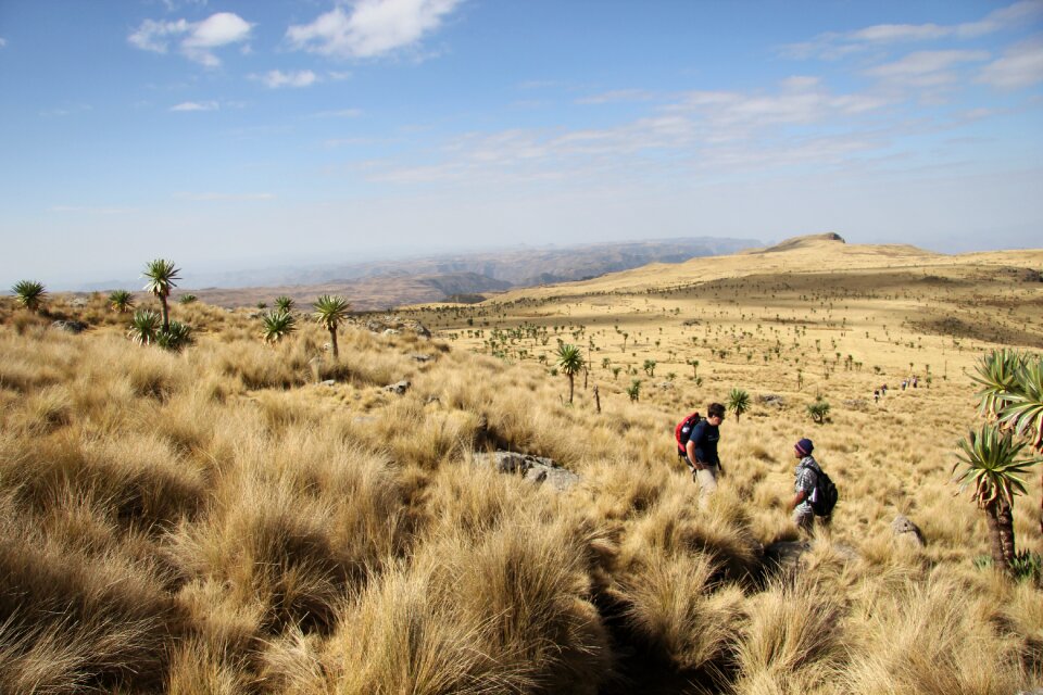 Trekking simian national park plateau