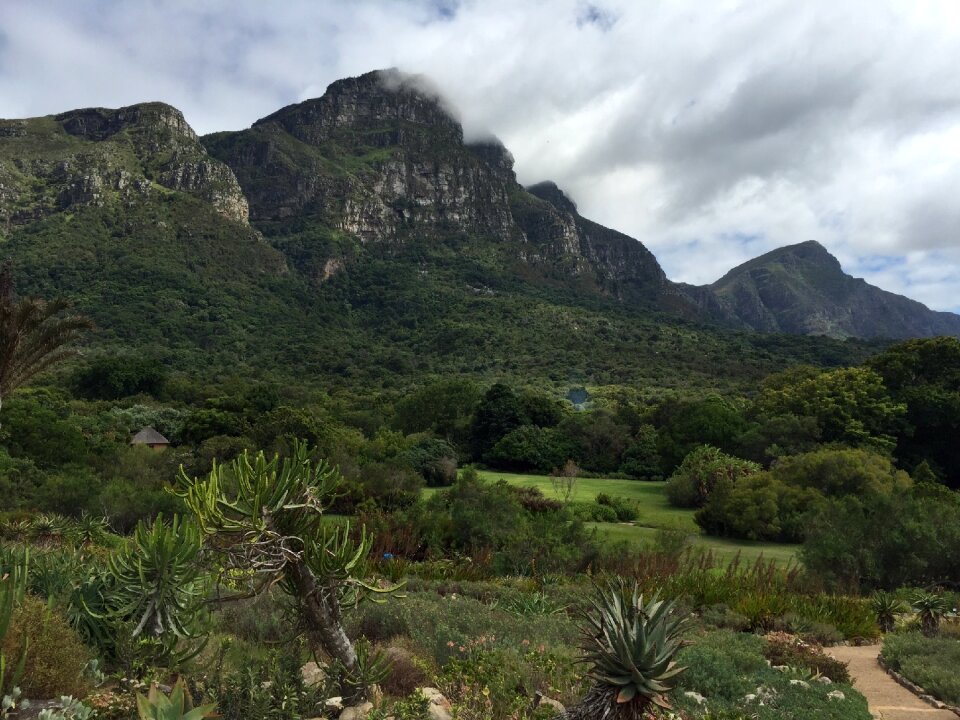 South africa national