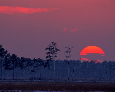 Blackwater National Wildlife Refuge