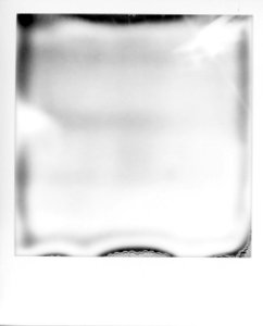 polaroid blank559 photo