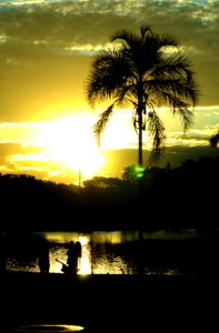 nossa-braslia---entardece-no-parque 18779543508 o