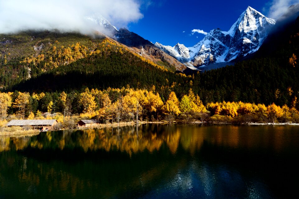 The scenery autumn bi peng gou