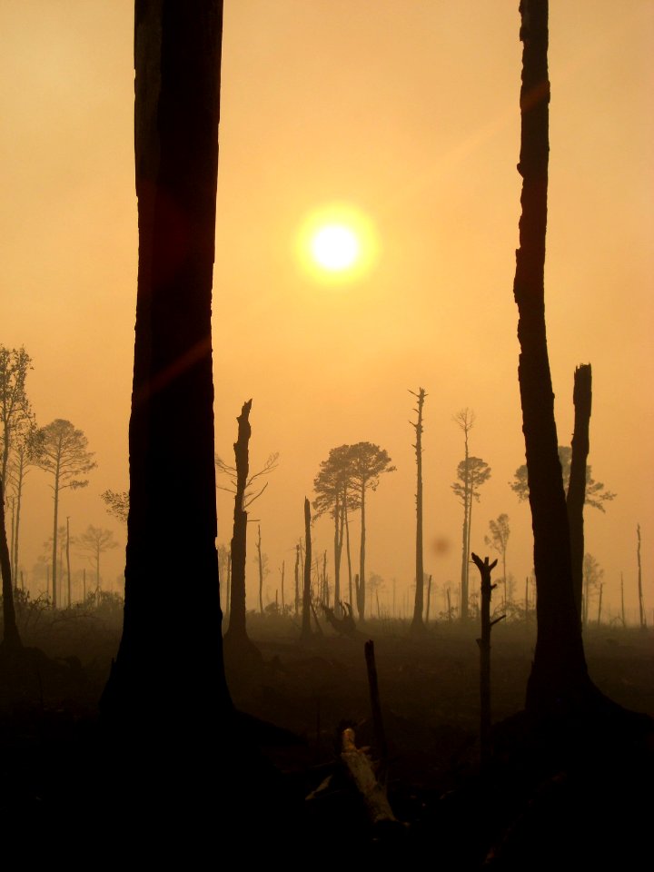 Photo of the week - Sunlight through the haze