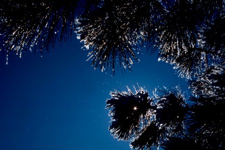 Photo of the Week - Winter shot at John Heinz National Wildlife Refuge