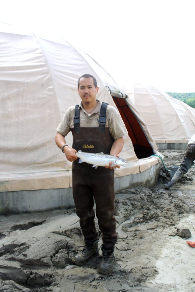 USFWS technician with Atlantic salmon