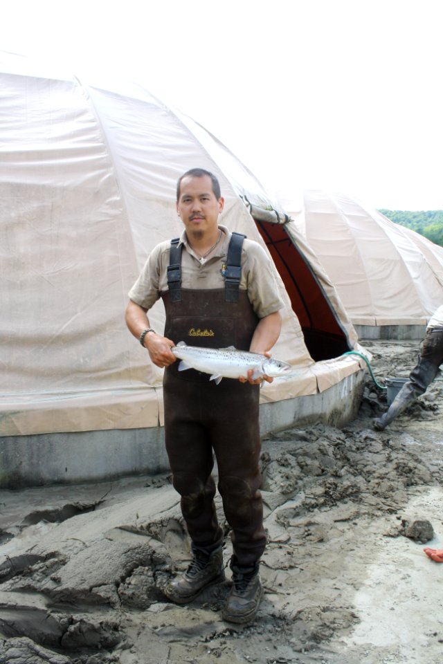 USFWS technician with Atlantic salmon photo