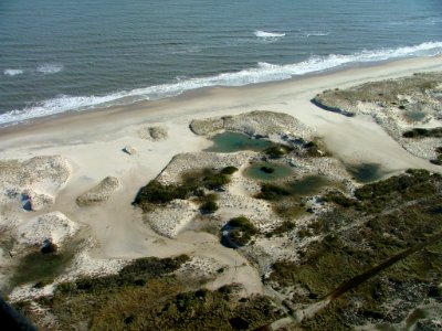 Chincoteague National Wildlife Refuge (VA)