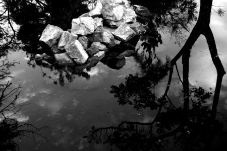 nossa-braslia---reflexo 19878283858 o
