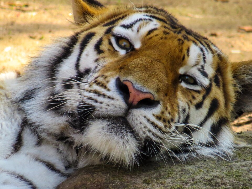 Close up eyes tired