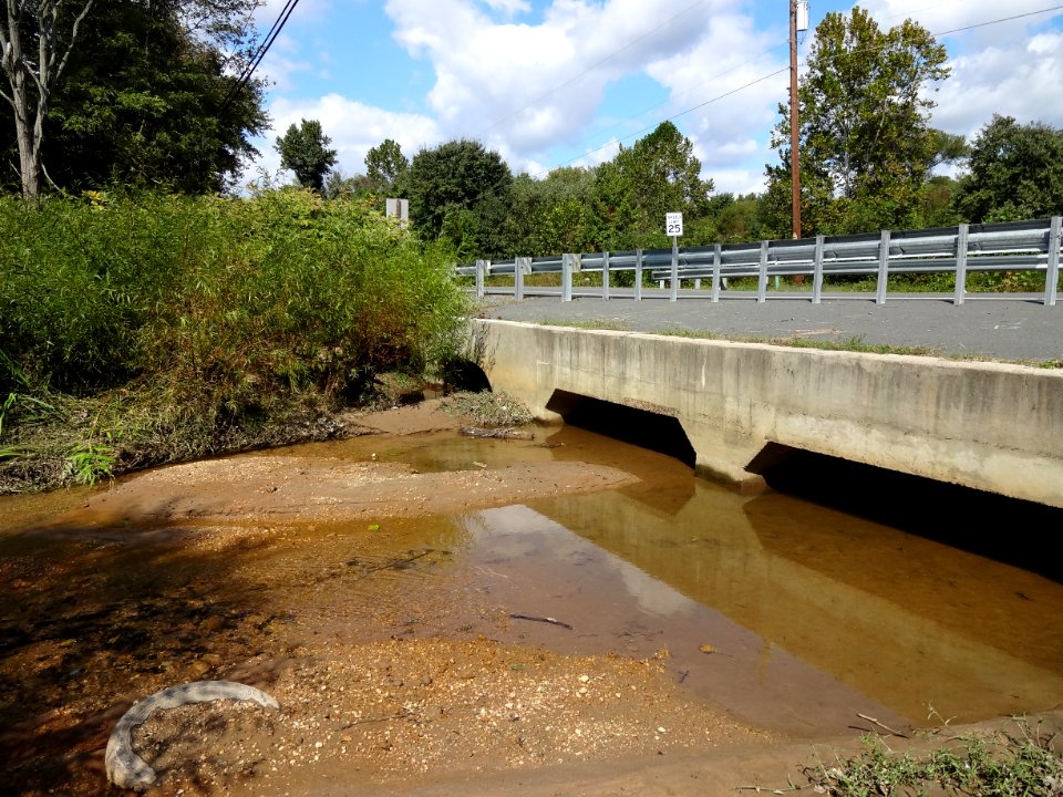 Dewey's and Quantico Creeks Restoration