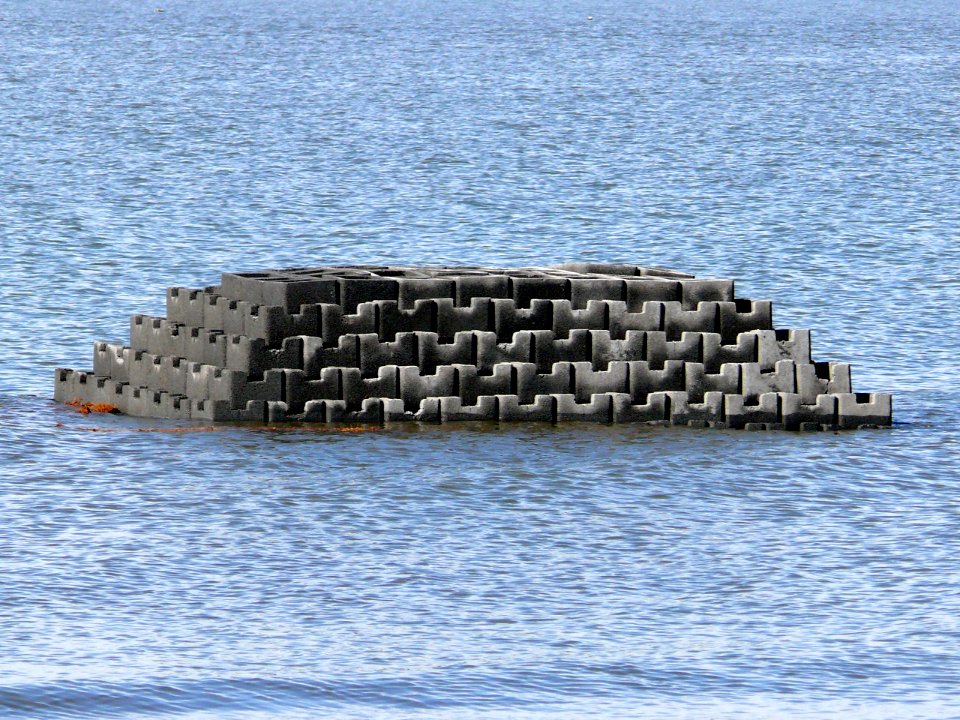 Oyster reef in the bay made from oyster castles, about 60% complete