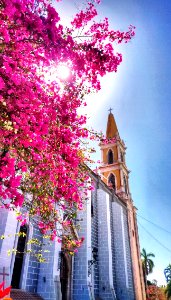 March in Mazatlan photo