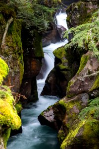 Avalanche Gorge Portrait photo