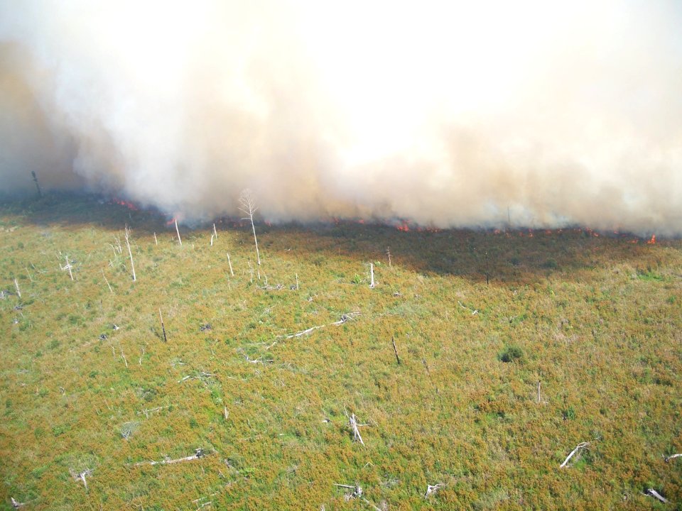 Smoke front on Dismal Swamp