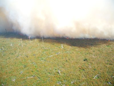 Smoke front on Dismal Swamp