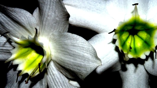 DSC 0998