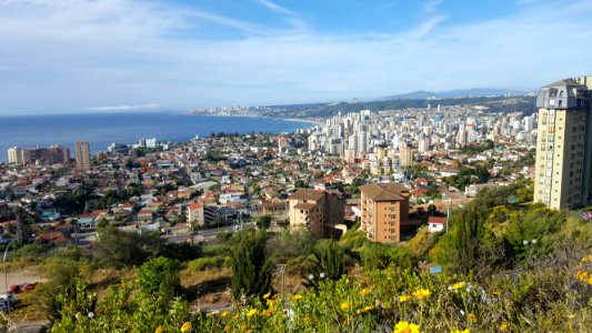 Viña-del-Mar photo