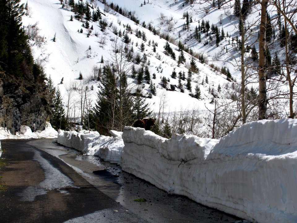 4-28-2020 - Plowing Going-to-the-Sun Road