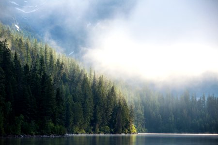 Morning Fog and Trees on Quartz lake (2)