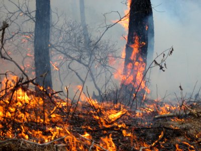 Burning for People and Wildlife photo