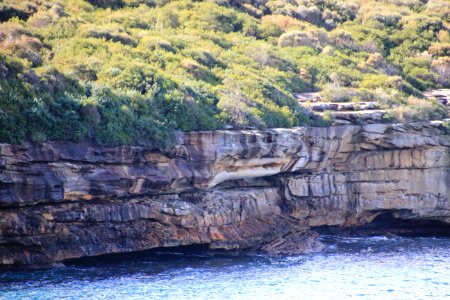 Taronga-Middle-Head-060716-073