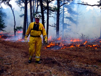 Chief Baker Walks the Line photo