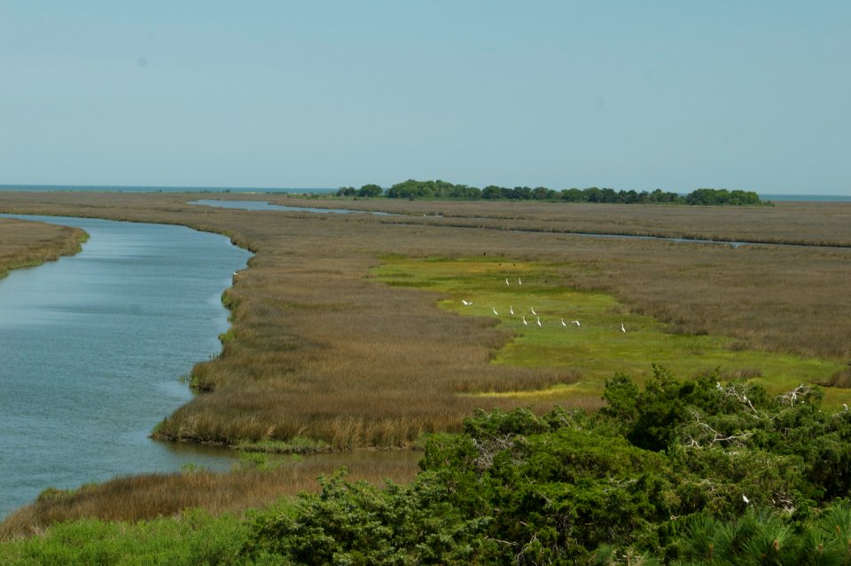 Joes Ridge Creek with Chesapeake Bay in the distance