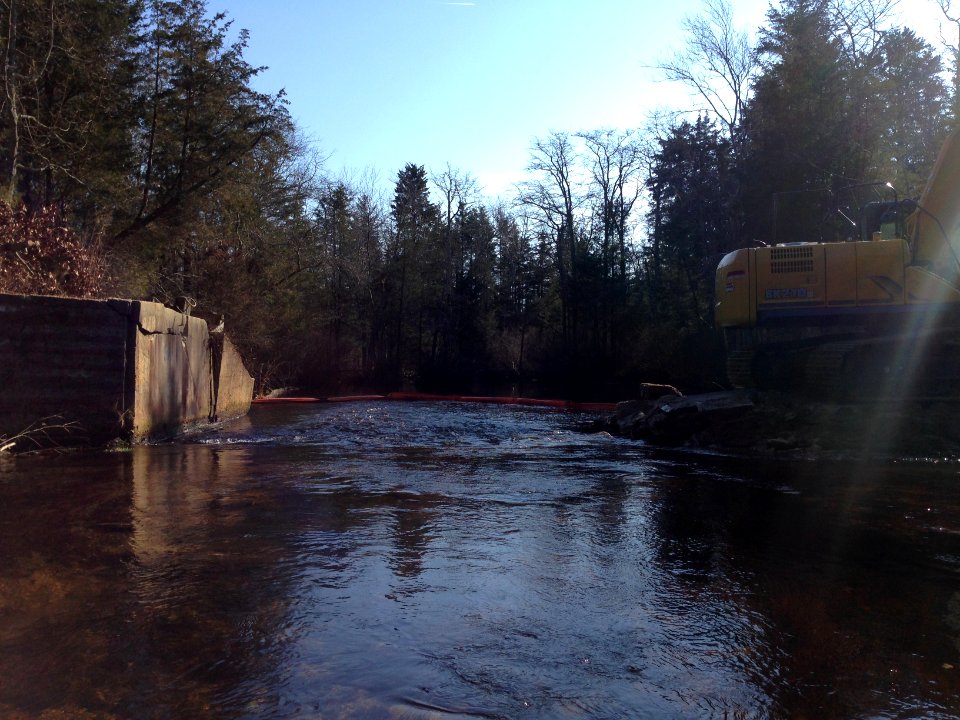 Westecunk Creek Barrier - After Removal, Eaglewood N.J.