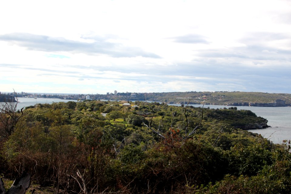 Taronga-Middle-Head-060716-061