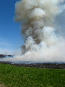Smoke plume from a controlled burn at Iroquois National Wildlife Refuge photo