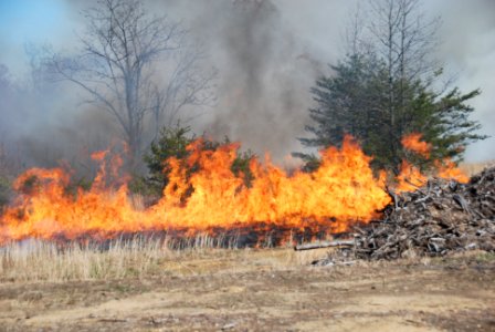 Patuxent Research Refuge Controlled Burn photo