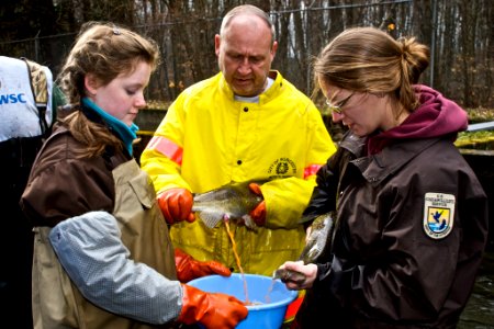 Richard Cronin National Salmon Station