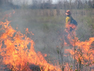 Heat waves during an Iroquois National Wildlife Refuge controlled burn