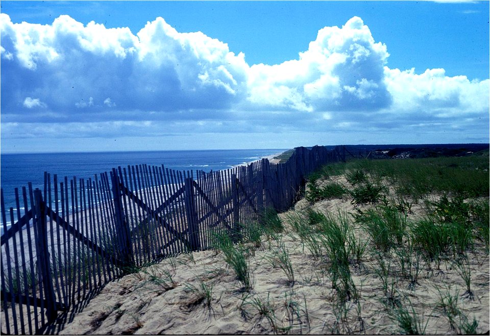 Cape Cod National Seashore near Wellfleet, MA