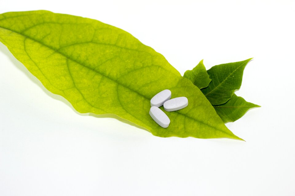 Medicine herbal alternative