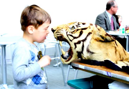 Boy and Tiger Head photo