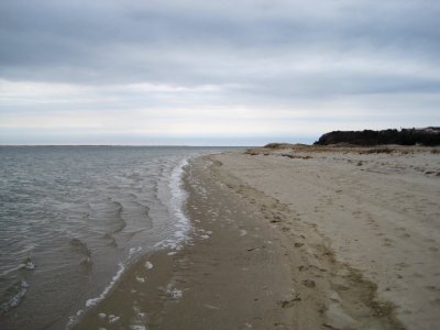 Shoreline at Monomoy photo