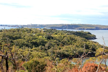 Taronga-Middle-Head-060716-064
