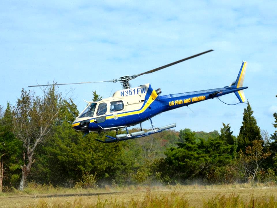 U.S. Fish and Wildlife Service helicopter takes off