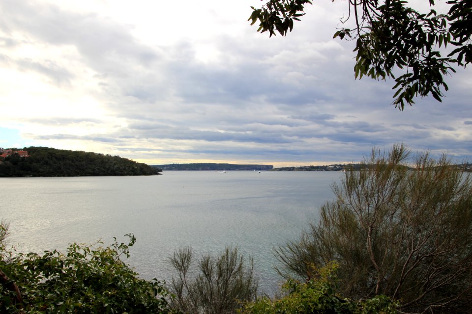 Taronga-Middle-Head-060716-018