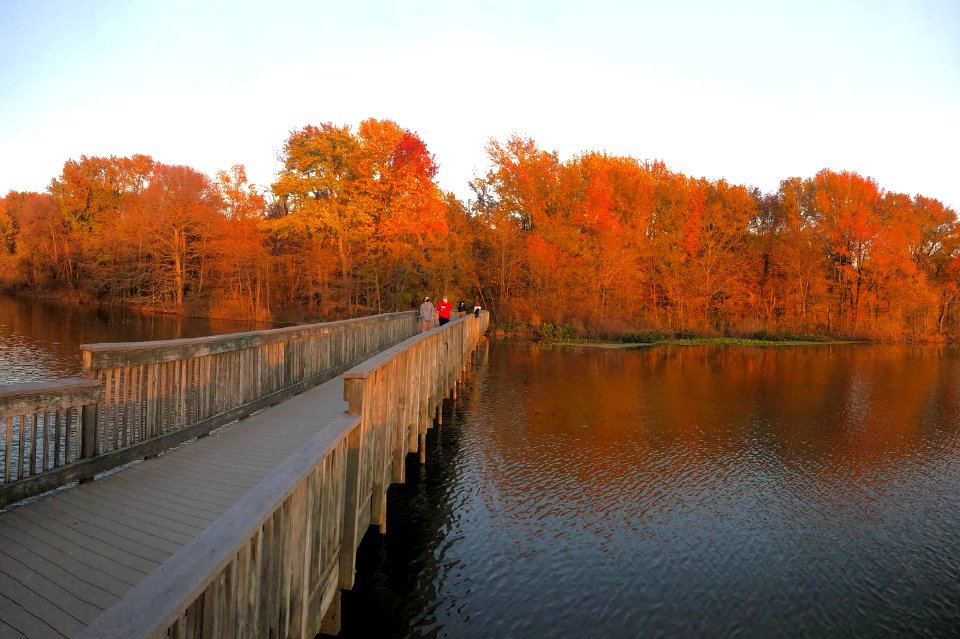 Autumn at John Heinz National Wildlife Refuge