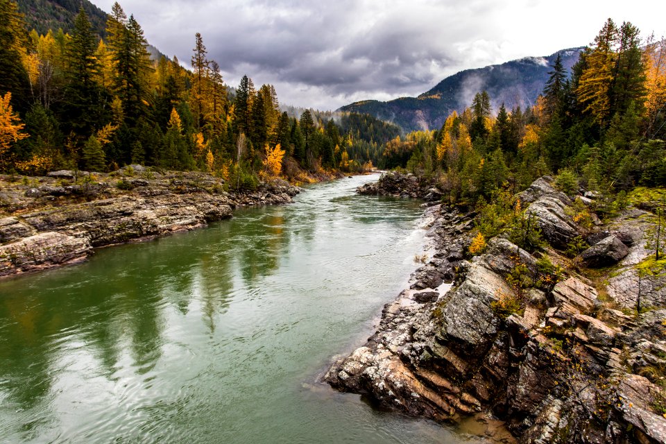 Middle Fork of the Flathead From the Belton Bridge